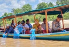 Kepala Dinas Perikanan Palangka Raya, Ir Indriarti Ritadewi MAB (pakai jilbab), saat menebarkan benih ikan betok dan gabus di Sei Gohong