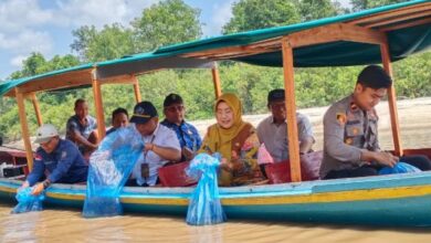 Kepala Dinas Perikanan Palangka Raya, Ir Indriarti Ritadewi MAB (pakai jilbab), saat menebarkan benih ikan betok dan gabus di Sei Gohong