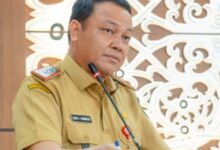 Sekda Kapuas, Usis I Sangkai,