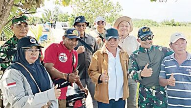 Bupati Kapuas HM Wiyatno saat melakukan pengecekan lahan padi di Desa Cemara Labat belum lama tadi.
