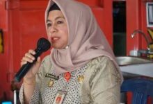 Kepala Bapenda Kota Palangkaraya, Emi Abriyani