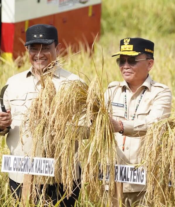 Gubernur Kalteng Panen Raya Padi seluas 25.817 hektare di Desa Terusan Mulya, Kecamatan Bataguh, Rabu (8/7).