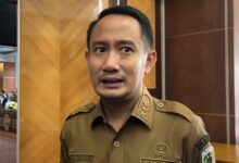 Wali Kota Palangka Raya, Fairid Naparin