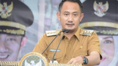Wali Kota Palangka Raya, Fairid Naparin,