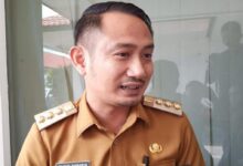 Wali Kota Palangka Raya, Fairid Naparin