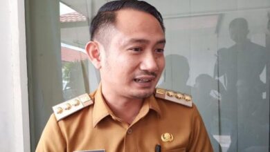 Wali Kota Palangka Raya, Fairid Naparin