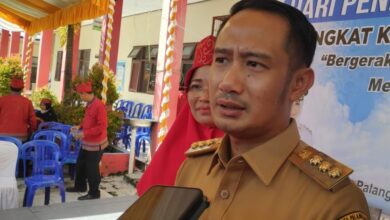 Wali Kota Palangka Raya, Fairid Naparin