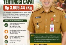 ‎Harga TBS, Periode Kedua Juni Tembus Rp3.609,44 per Kilogram