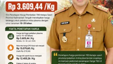‎Harga TBS, Periode Kedua Juni Tembus Rp3.609,44 per Kilogram