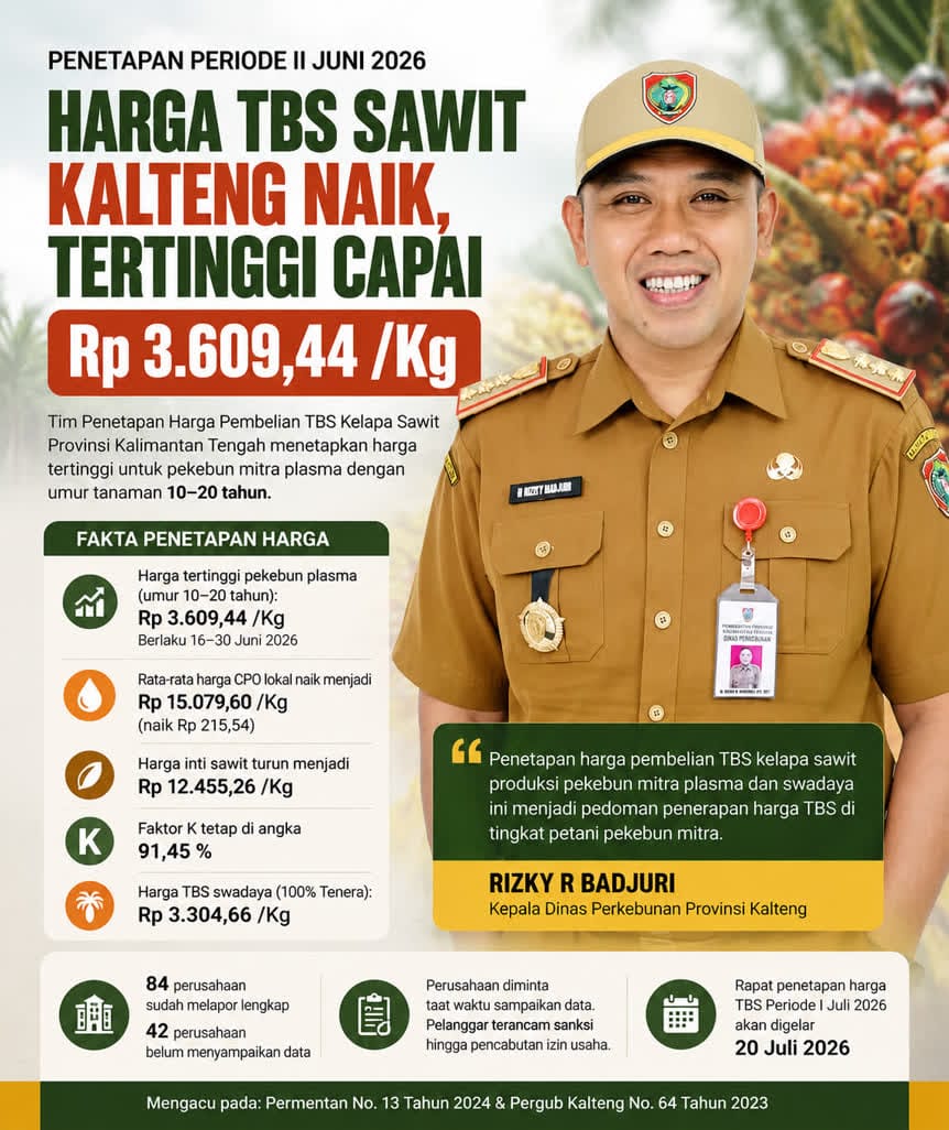 ‎Harga TBS, Periode Kedua Juni Tembus Rp3.609,44 per Kilogram