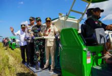 ‎Gubernur Kalteng, H. Agustiar Sabran saat mengikuti pelaksanaan kegiatan panen raya padi, di Desa Terusan Mulya, Kecamatan Bataguh, Kabupaten Kapuas,