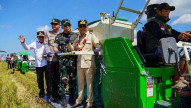 ‎Gubernur Kalteng, H. Agustiar Sabran saat mengikuti pelaksanaan kegiatan panen raya padi, di Desa Terusan Mulya, Kecamatan Bataguh, Kabupaten Kapuas,