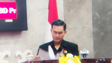 Ketua Fraksi Partai Demokrat DPRD Kalimantan Tengah (Kalteng), Hero Harapanno.