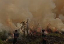 Petugas pemadam kebakaran saat memasamkan kobaran api yang membakar lahan di Jalan Danau Rangas