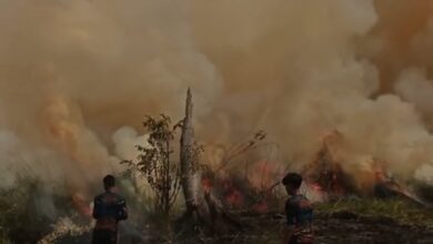 Petugas pemadam kebakaran saat memasamkan kobaran api yang membakar lahan di Jalan Danau Rangas