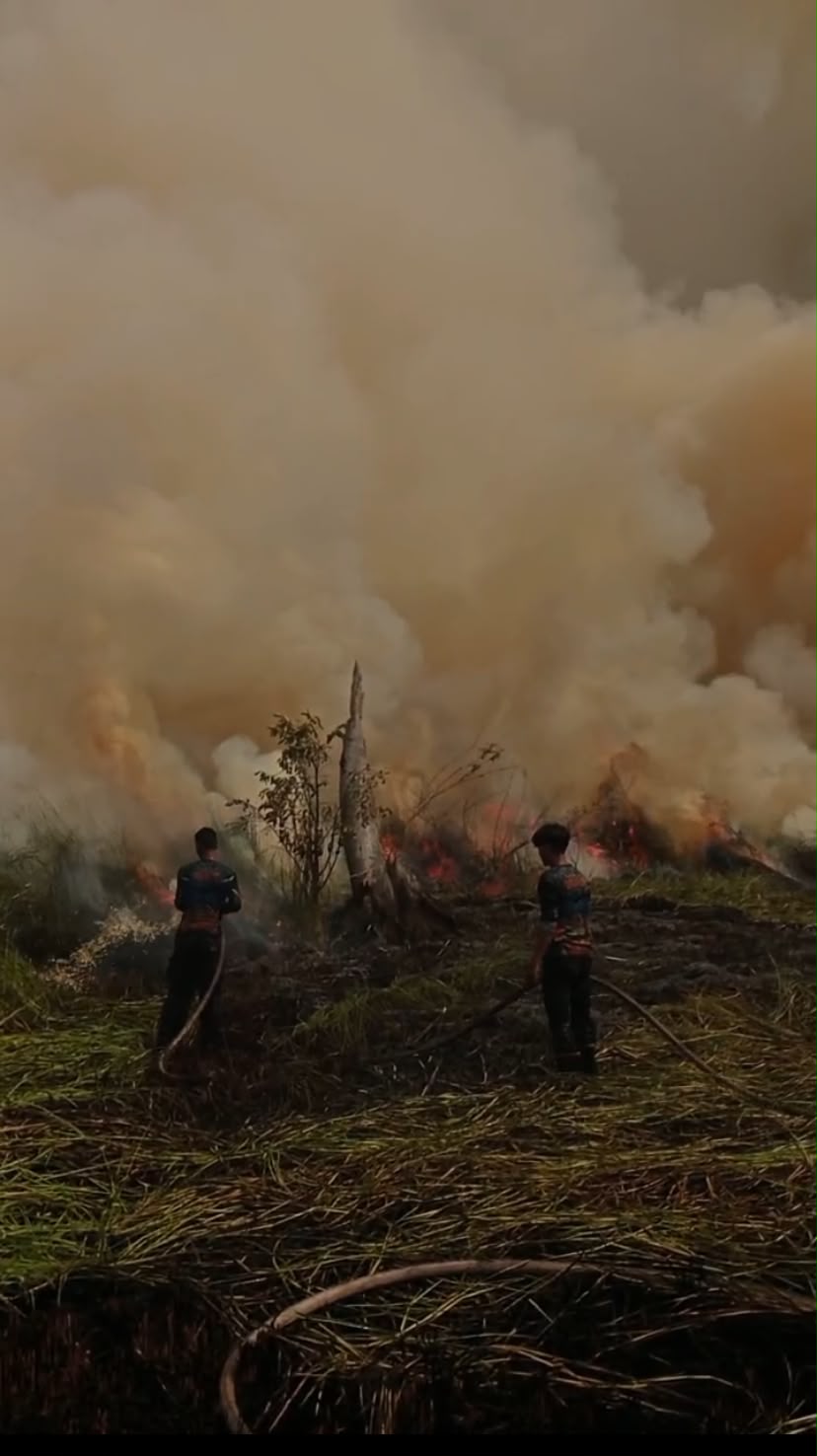 Petugas pemadam kebakaran saat memasamkan kobaran api yang membakar lahan di Jalan Danau Rangas