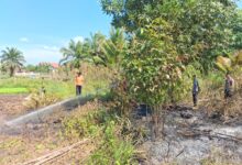 Petugas gabungan saat melakukan pemadaman kebakaran lahan usai terdeteksi hotspot di wilayah Kelurahan Palangka, Kecamatan Jekan Raya,