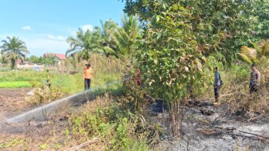 Petugas gabungan saat melakukan pemadaman kebakaran lahan usai terdeteksi hotspot di wilayah Kelurahan Palangka, Kecamatan Jekan Raya,