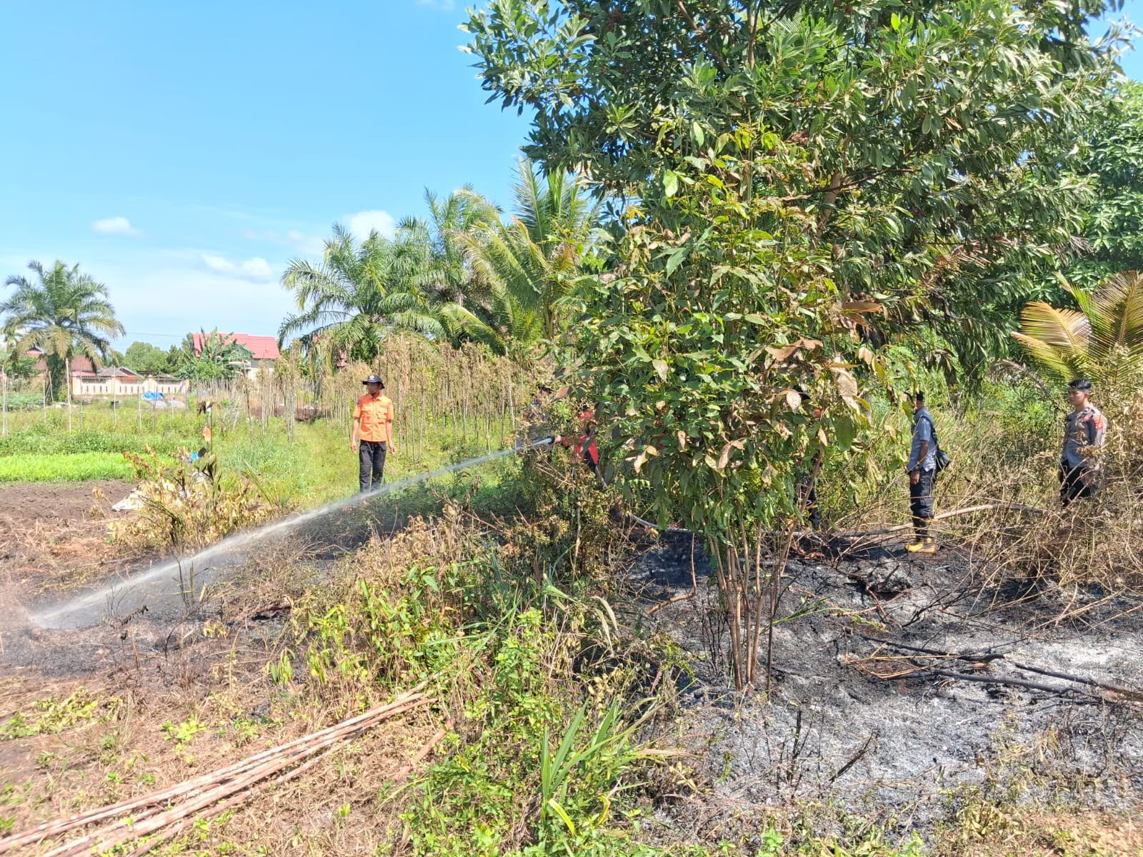 Petugas gabungan saat melakukan pemadaman kebakaran lahan usai terdeteksi hotspot di wilayah Kelurahan Palangka, Kecamatan Jekan Raya,