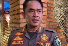 Kasatpol PP Palangka Raya, Berlianto.