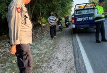 Petugas kepolisian ketika berada di lokasi diduga terjadinya tabrak lari di kawasan Jalan Adonis Samad