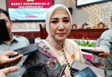 Anggota DPRD Kalimantan Tengah (Kalteng), Endang Susilawatie.