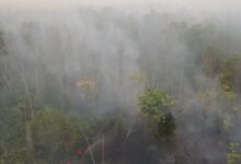 Kondisi karhutla di wilayah Kota Palangka Raya