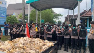 Pikap berisi ribuan bangkai ayam dihadirkan dalam aksi damai di depan kantor PT PLN (Persero) UP3 Palangka Raya di Jalan Ahmad Yani