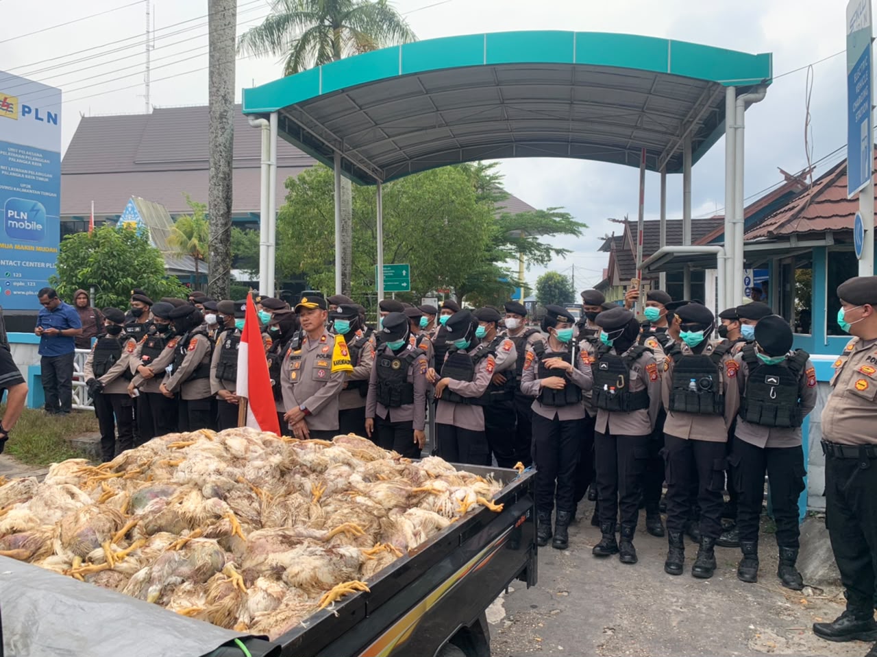 Pikap berisi ribuan bangkai ayam dihadirkan dalam aksi damai di depan kantor PT PLN (Persero) UP3 Palangka Raya di Jalan Ahmad Yani