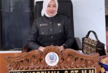 Anggota DPRD Kabupaten Murung Raya, Lita Norfiana.