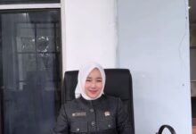 Anggota DPRD Kabupaten Murung Raya, Lita Norfiana.