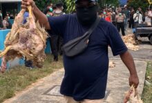Massa aksi melempari bangkai ayam ke dalam Kantor Kantor PT PLN (Persero) UP3 Palangka Raya