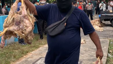 Massa aksi melempari bangkai ayam ke dalam Kantor Kantor PT PLN (Persero) UP3 Palangka Raya