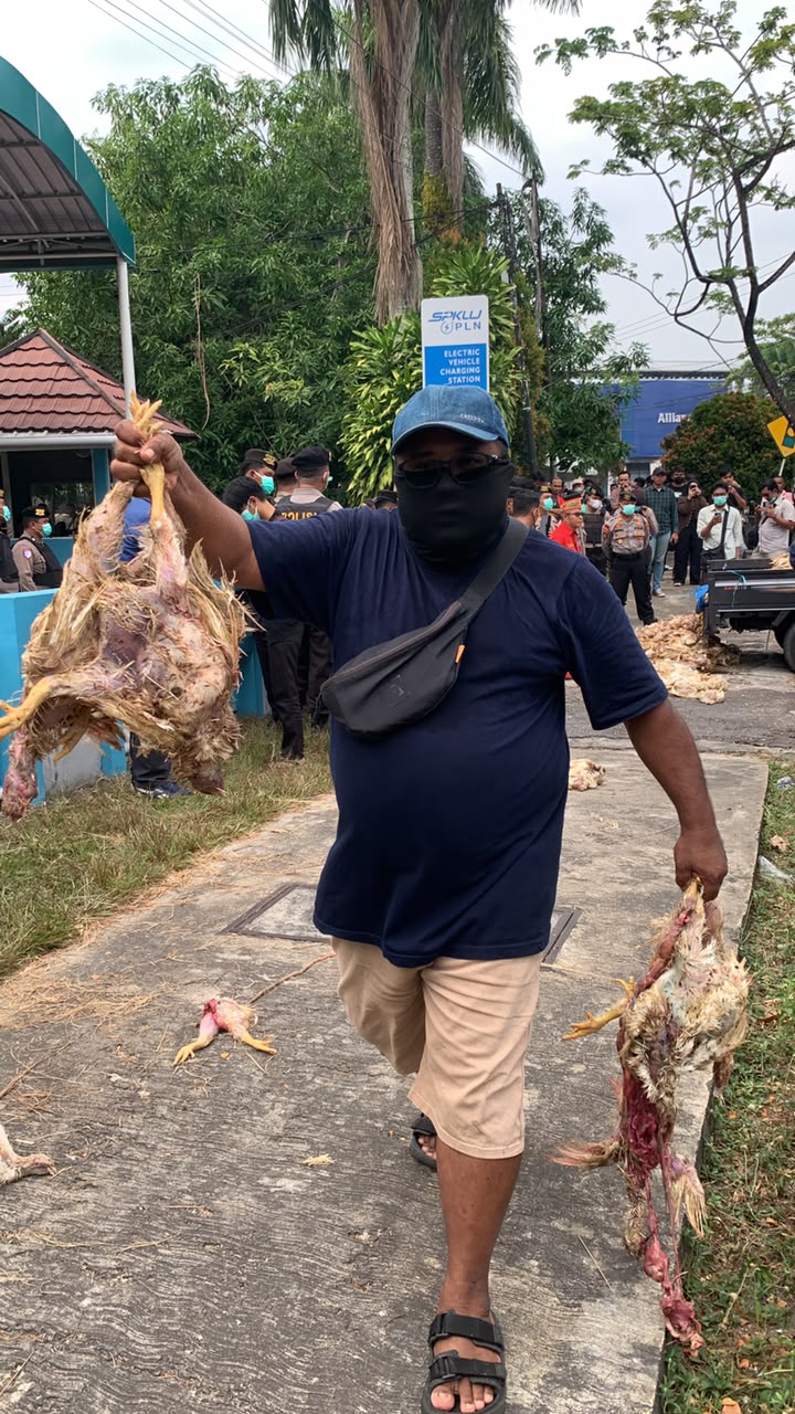 Massa aksi melempari bangkai ayam ke dalam Kantor Kantor PT PLN (Persero) UP3 Palangka Raya
