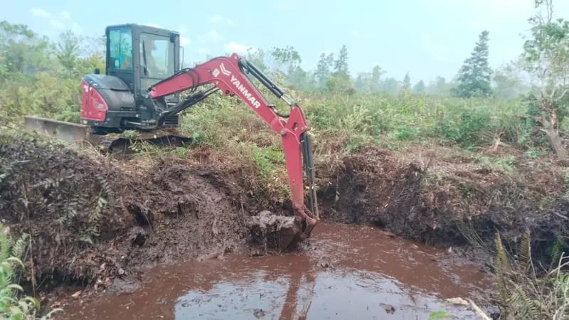 Normalisasi Kanal di wilayah kawasan gambut oleh Dishut Kalteng