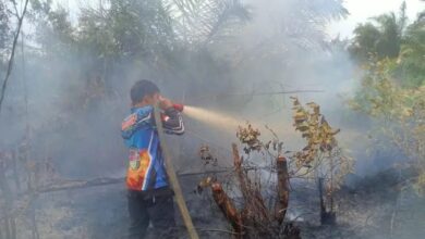 ‎Tim Pengendalian Kebakaran Hutan dan Lahan (Dalkarhutla) Dishut Kalteng tengah memadamkan api yang membakar hutan dan lahan di kawasan Kelurahan Bukit Tunggal,