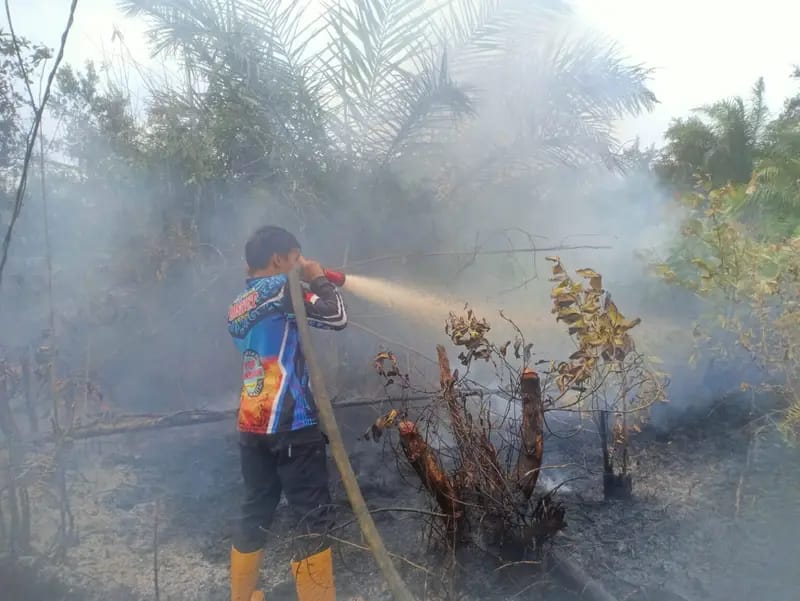 ‎Tim Pengendalian Kebakaran Hutan dan Lahan (Dalkarhutla) Dishut Kalteng tengah memadamkan api yang membakar hutan dan lahan di kawasan Kelurahan Bukit Tunggal,